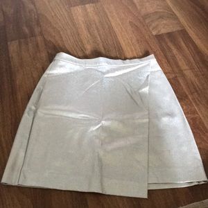 Silver Party Skirt